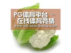 产品名称九