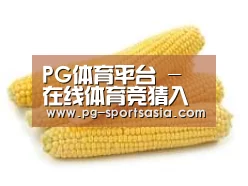 产品名称五