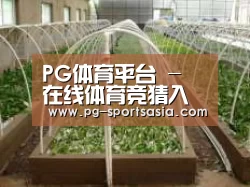 环境展示五