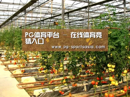 种植基地二