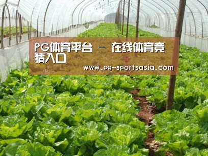 种植基地五