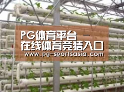 环境展示六