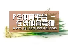 产品名称二