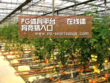 种植基地二(图1)