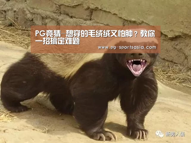 PG竞猜-想穿的毛绒绒又怕肿?教你一招搞定难题(图1) PG体育