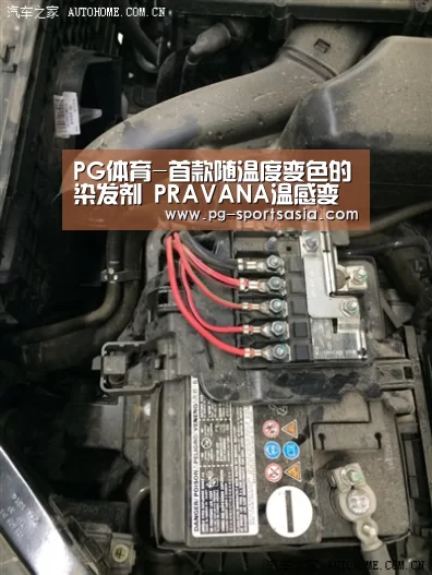 PG体育-首款随温度变色的染发剂 PRAVANA温感变色染发膏惊爆眼球(图1) PG篮球